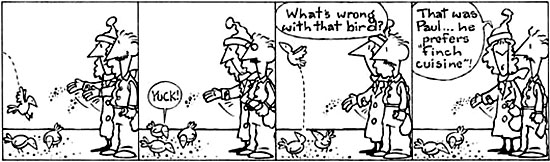 Wholesome (and Free!) Wild Bird Feed